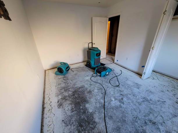 Best Flooded house restoration  in El Reno, OK