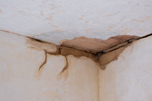 Best Sewage cleanup and water damage restoration  in El Reno, OK