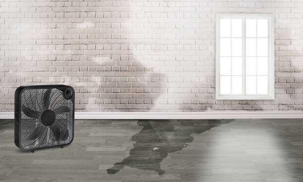 Best Water damage restoration insurance claims  in El Reno, OK